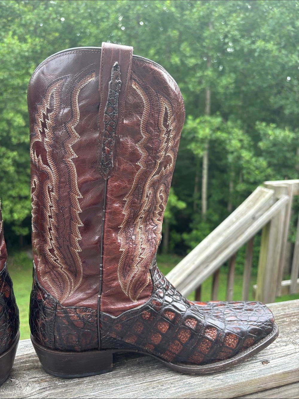 Dan Post Exotic Caiman boots bayou size 10.5 Cowboy western - Picture 10 of 17